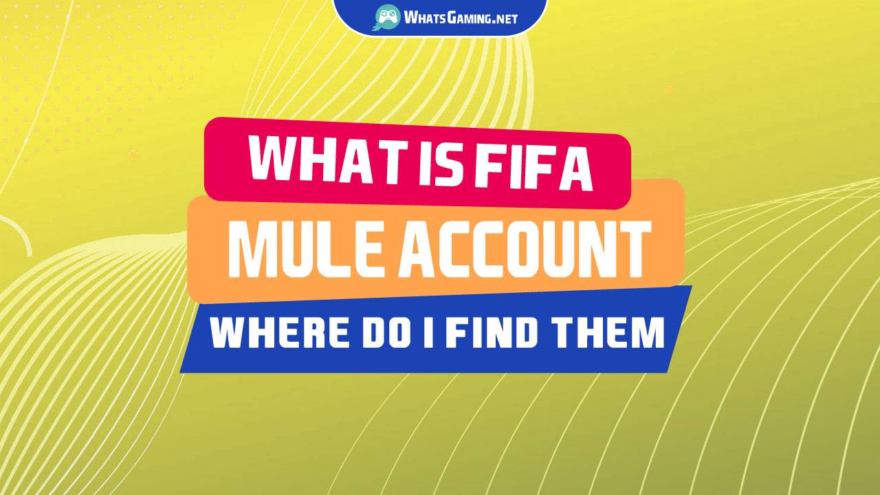 ¿Qué es una cuenta FIFA Mule?